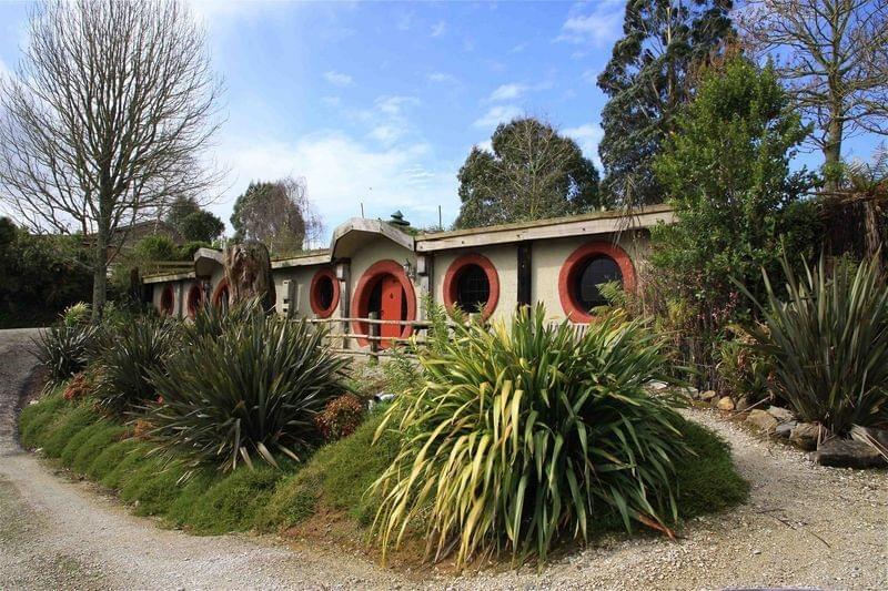 The underground Hobbit units at Woodlyn Park, set into a grassy bank near the Waitomo Caves