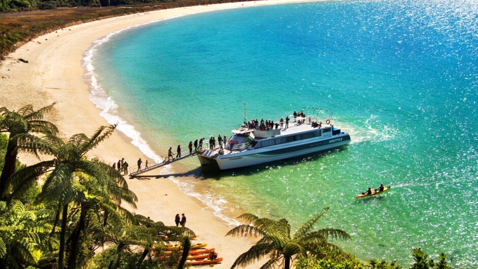 Golden sand and turquoise water in Abel Tasman National Park