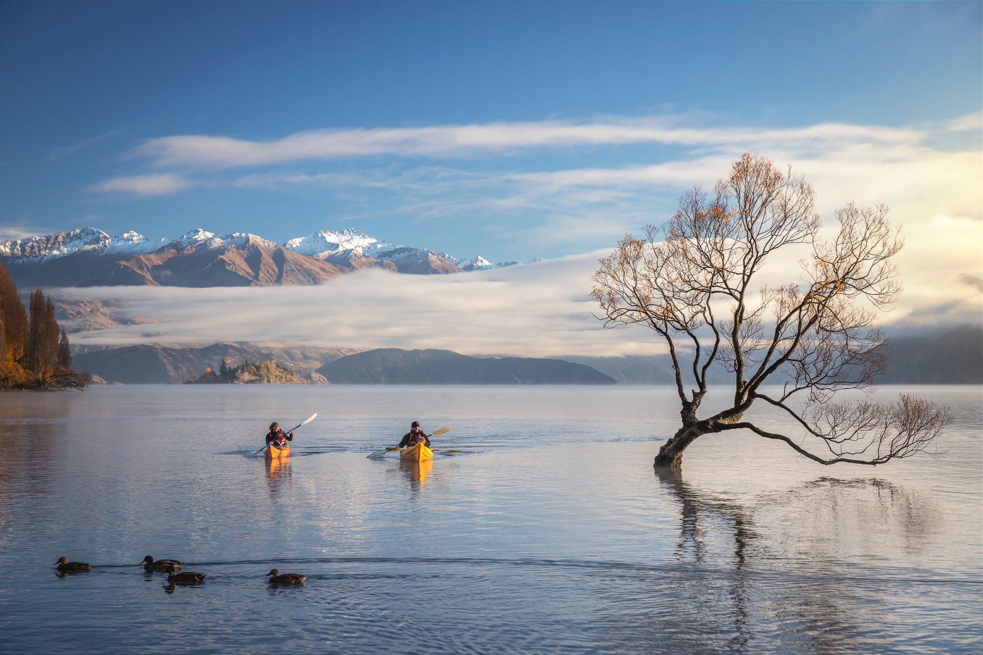 Lake Wānaka at golden hour, with mountains behind